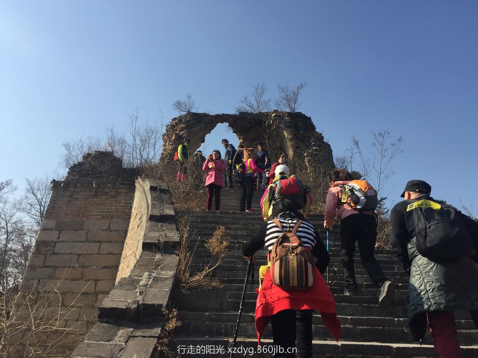 mmexport1542000541888