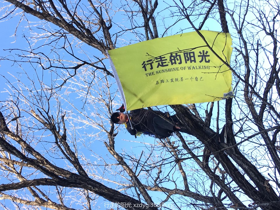 mmexport1542456911747