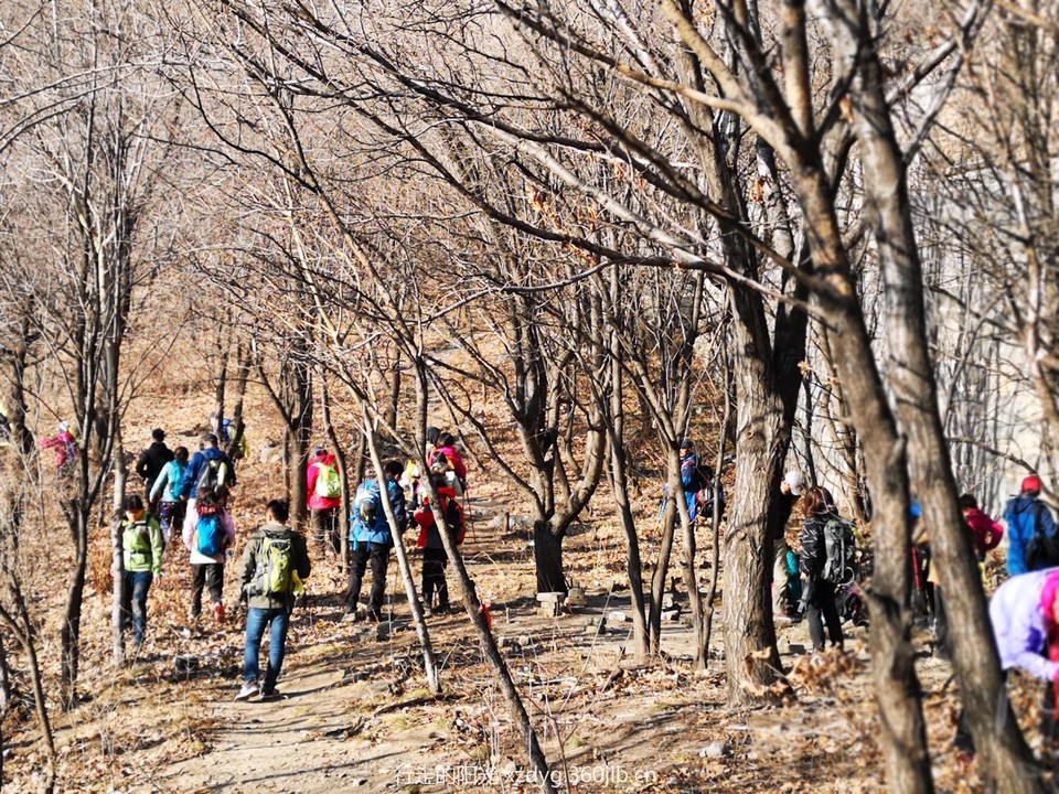 mmexport1542459483222