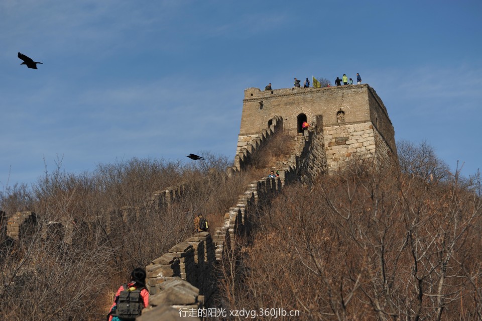 mmexport1542545105781