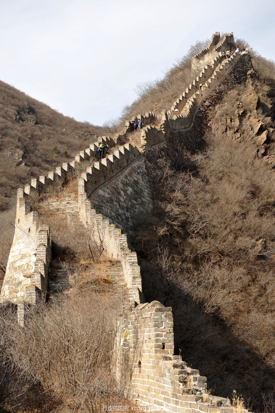 mmexport1542545119819