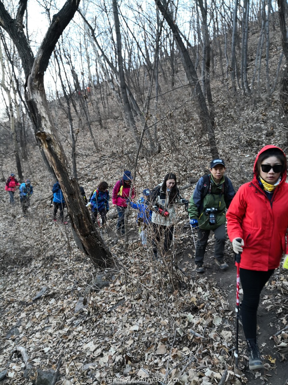 mmexport1543297522765