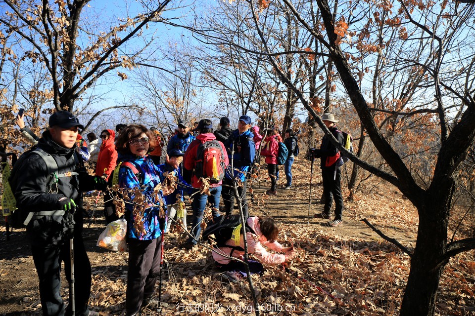 mmexport1543298426514