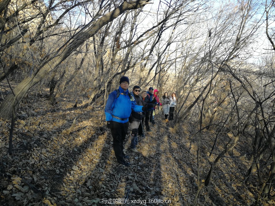 mmexport1544271125261