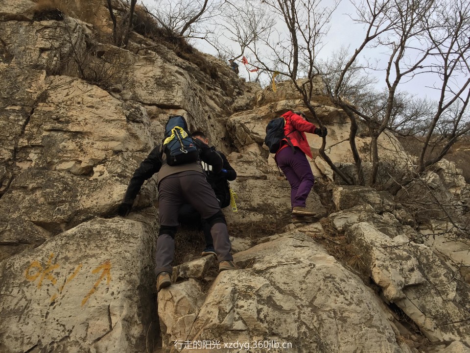 mmexport1545493523310