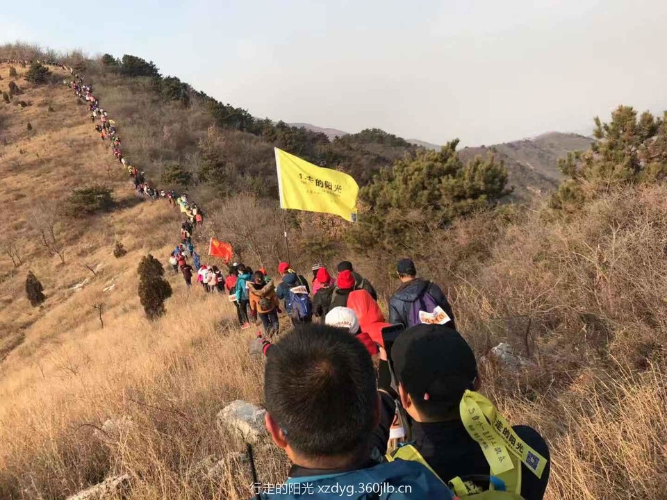 mmexport1544884356748