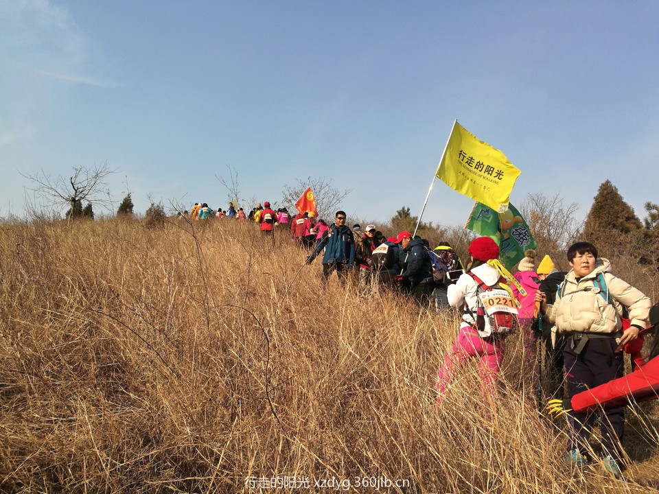 mmexport1544884768556