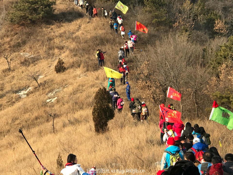 mmexport1544884876751