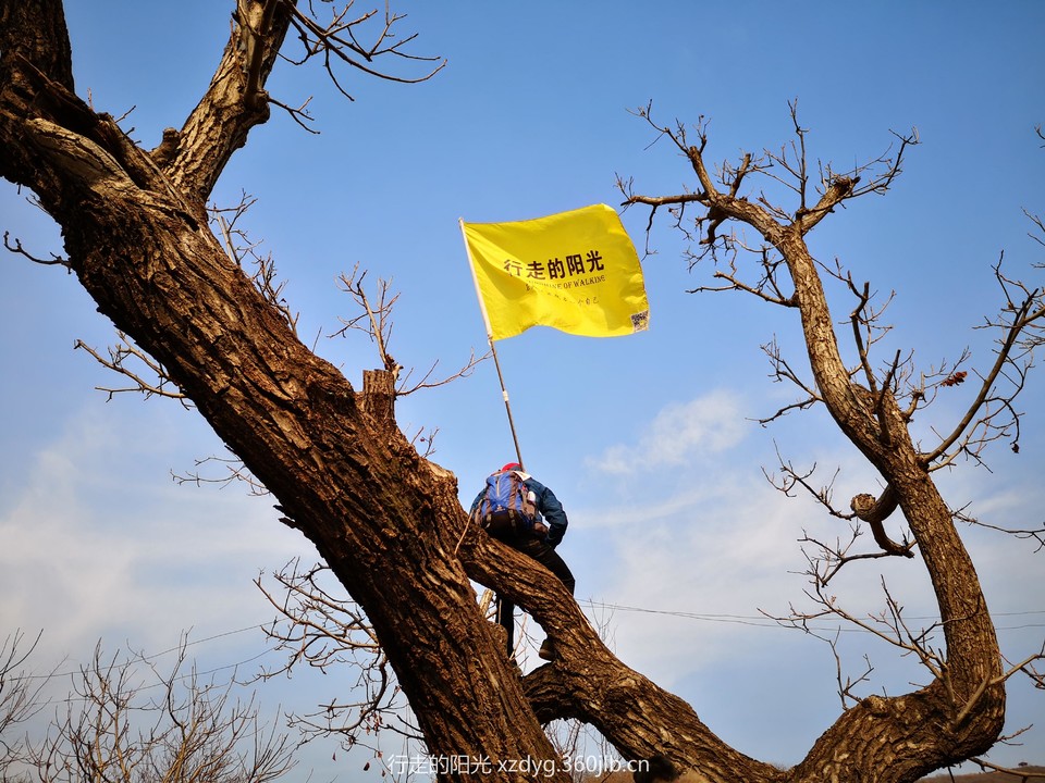 mmexport1544885184174