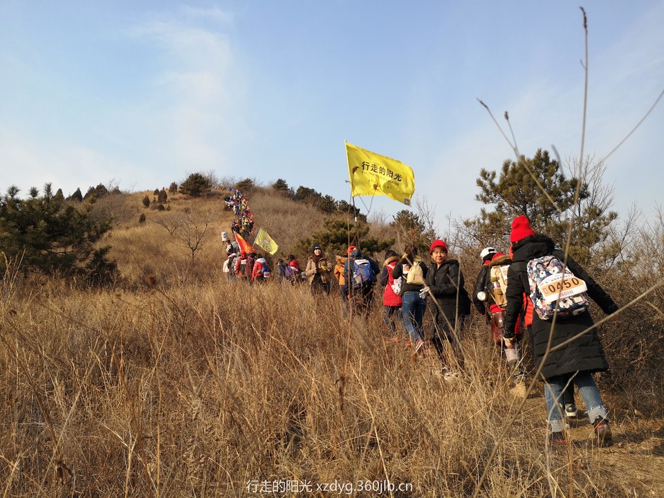 mmexport1544885670409