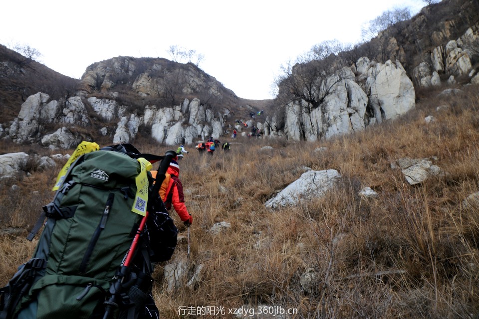 mmexport1545524037387