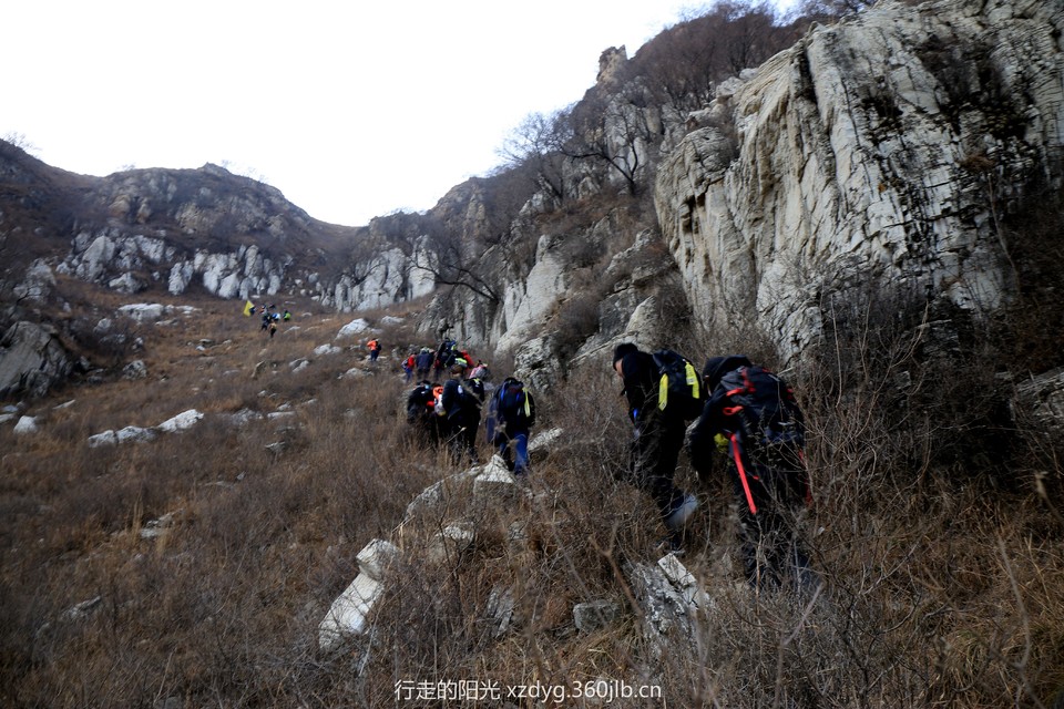 mmexport1545524055831