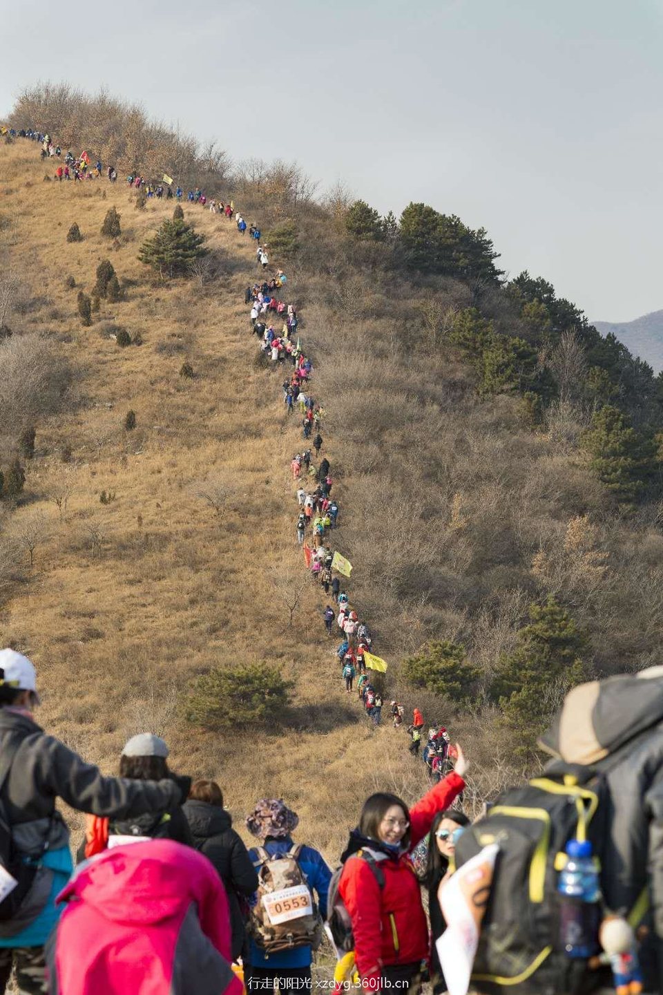 mmexport1544926131045