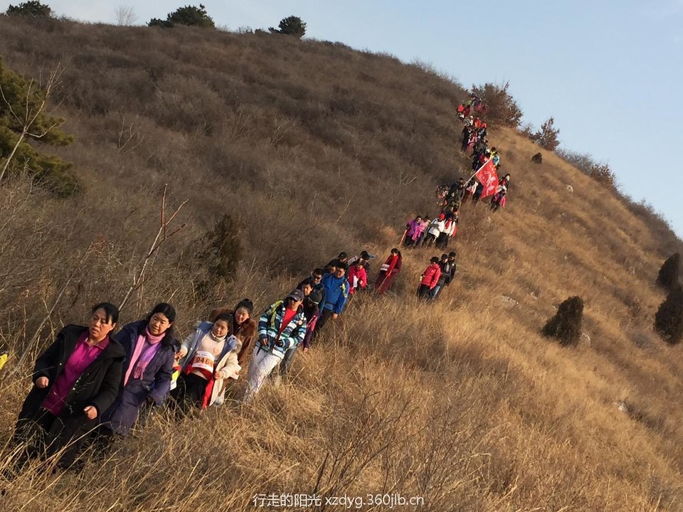 mmexport1544919826318