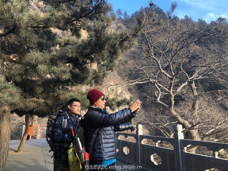 mmexport1546254004853