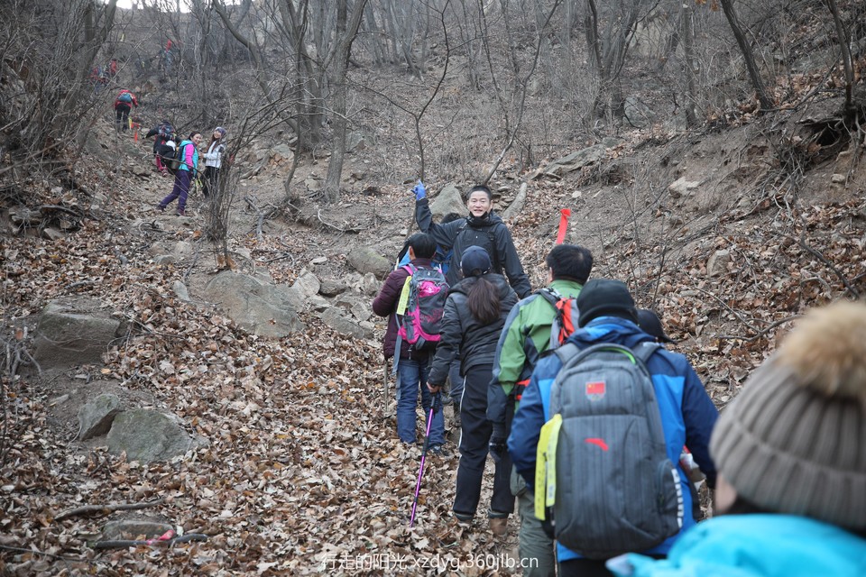 mmexport1547285978327