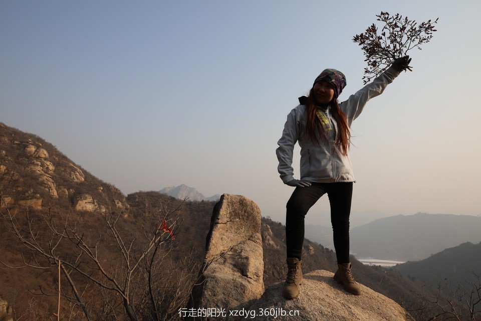 mmexport1547286353909