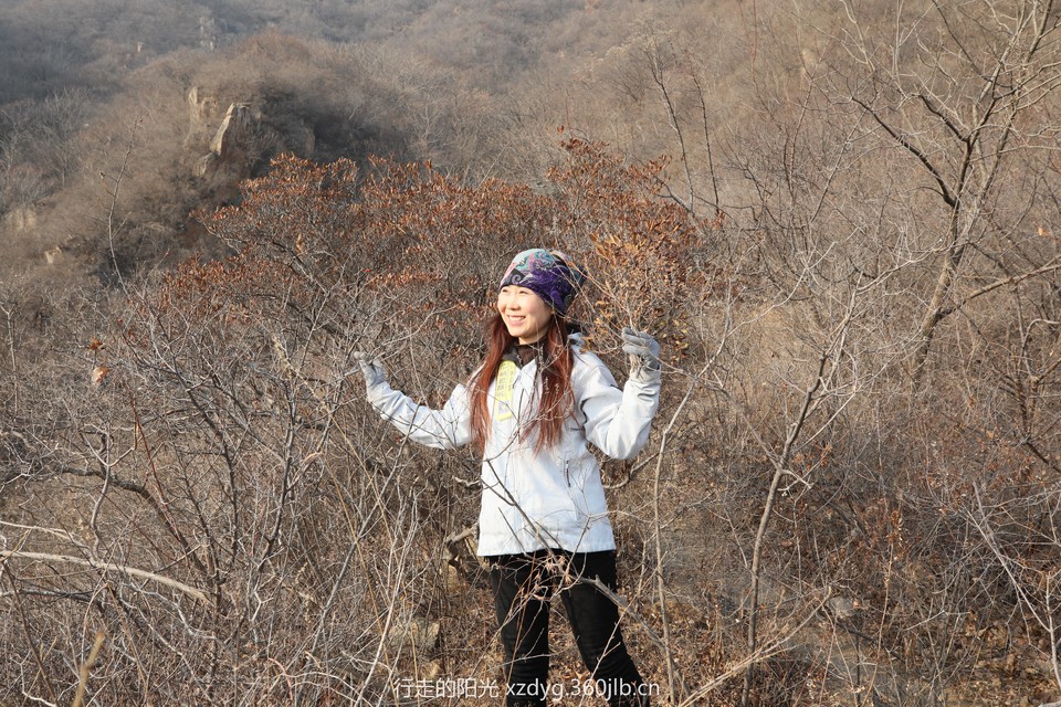 mmexport1547286429324