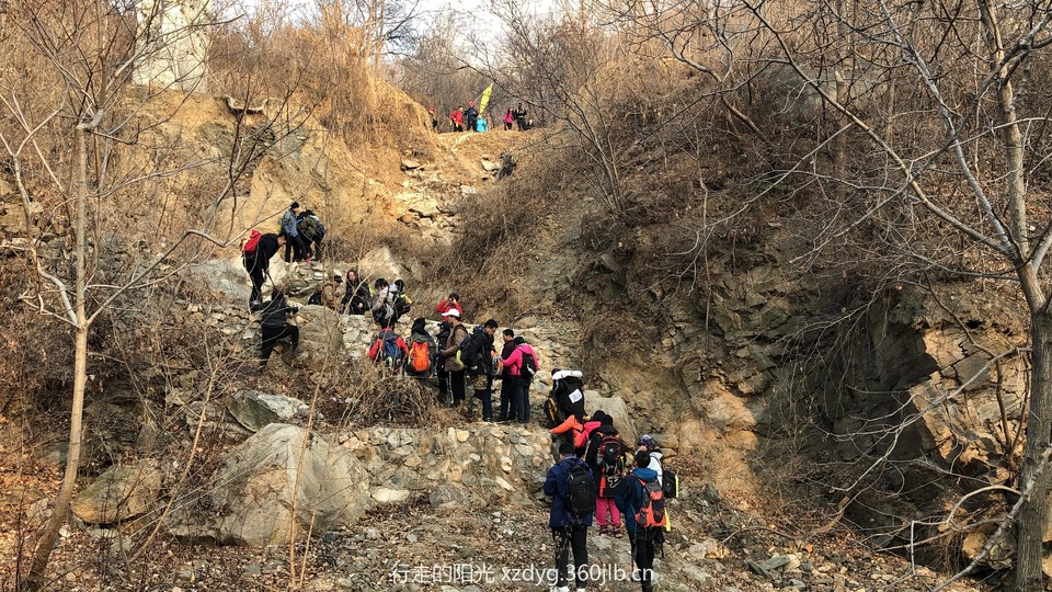 mmexport1547286744353