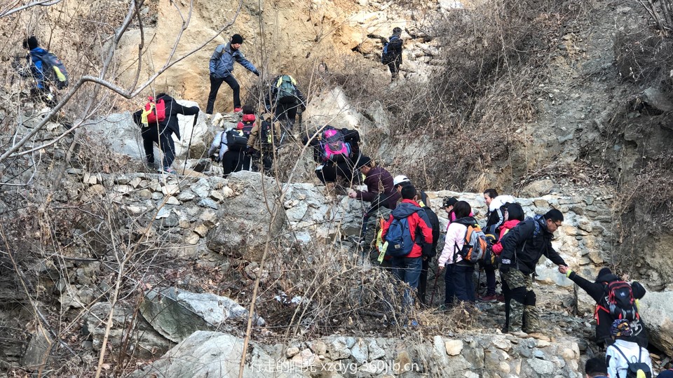 mmexport1547286753024