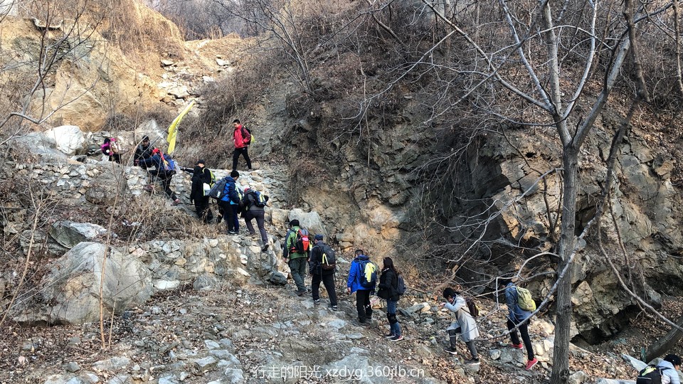 mmexport1547286772754