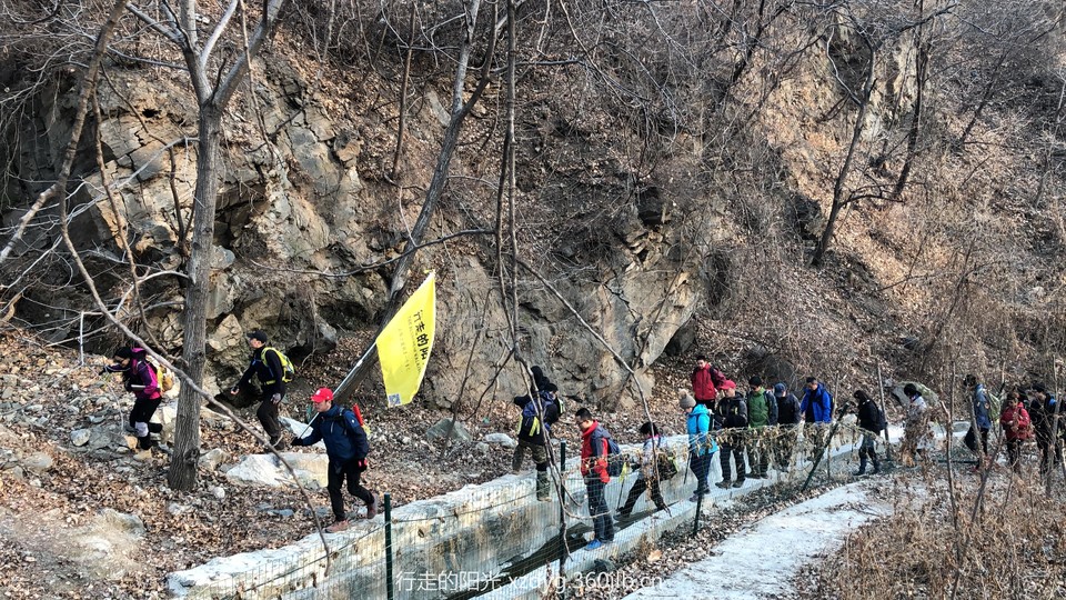 mmexport1547286781769