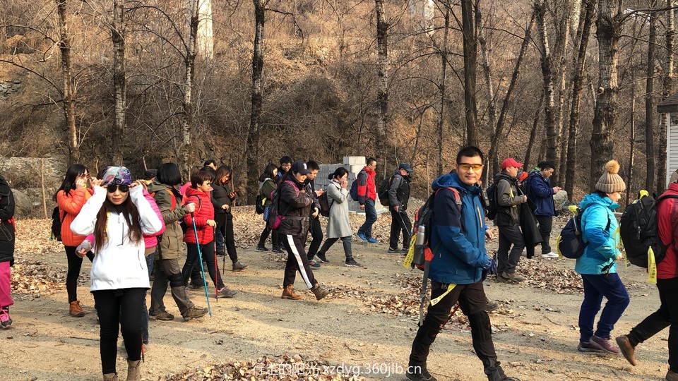 mmexport1547286792333