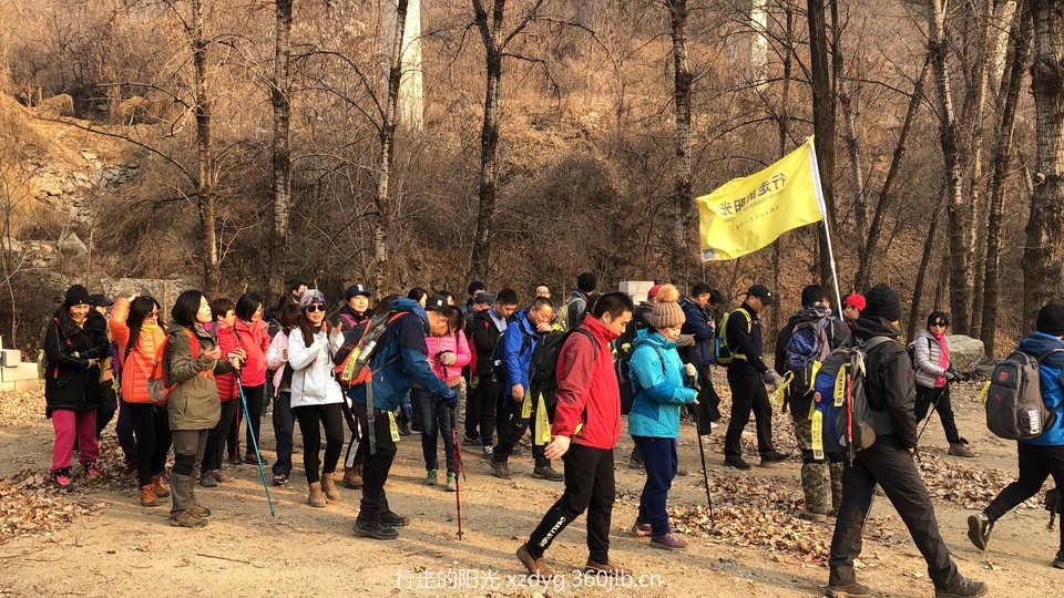 mmexport1547286835340