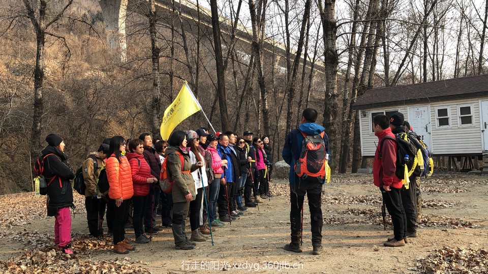 mmexport1547286882369