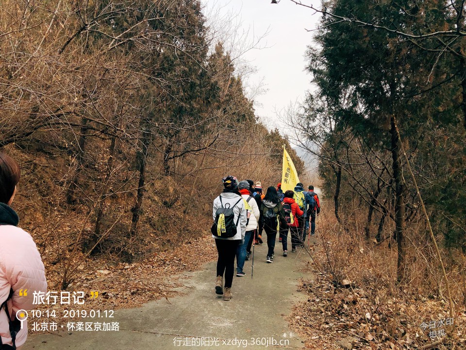 mmexport1547290354212