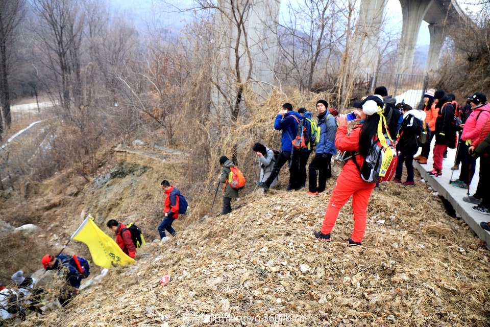 mmexport1547296554706