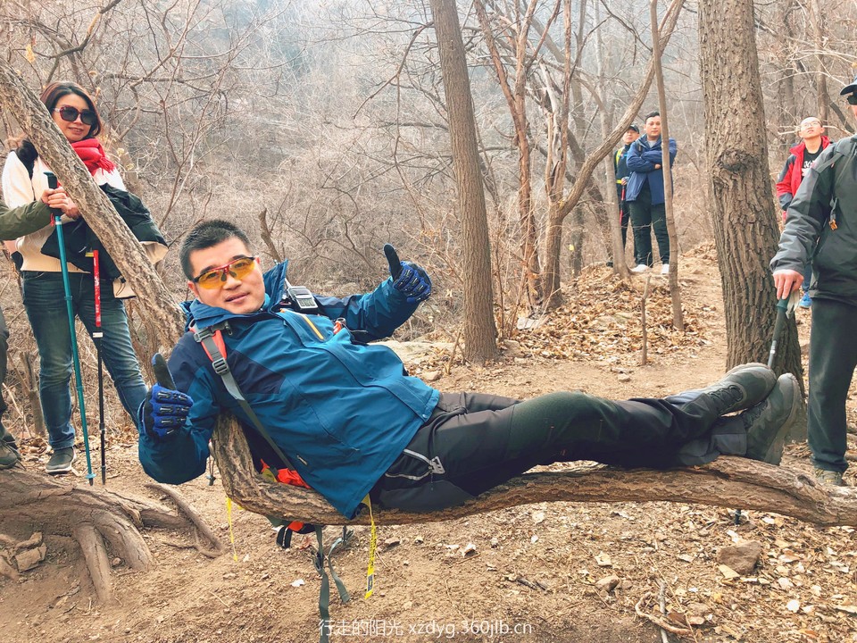 mmexport1547304261885