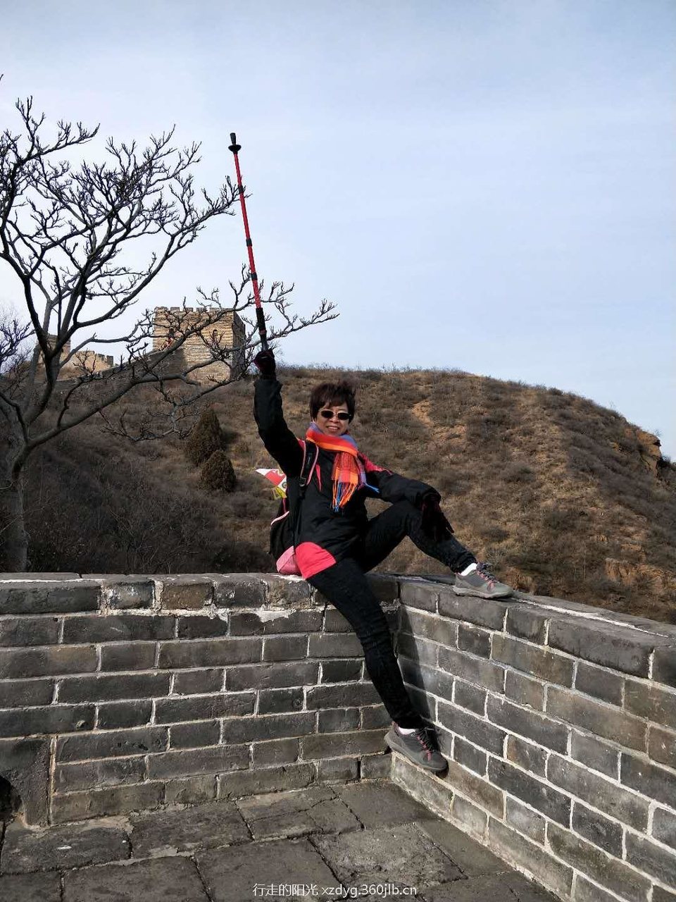 mmexport1547886983536