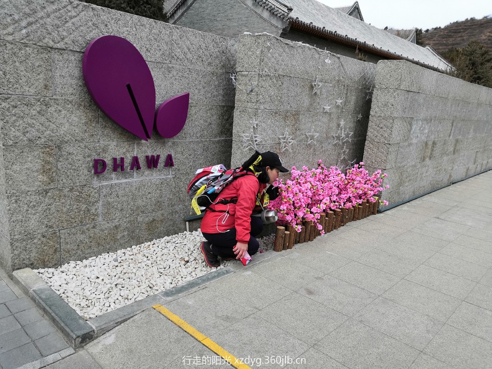 mmexport1547887289256