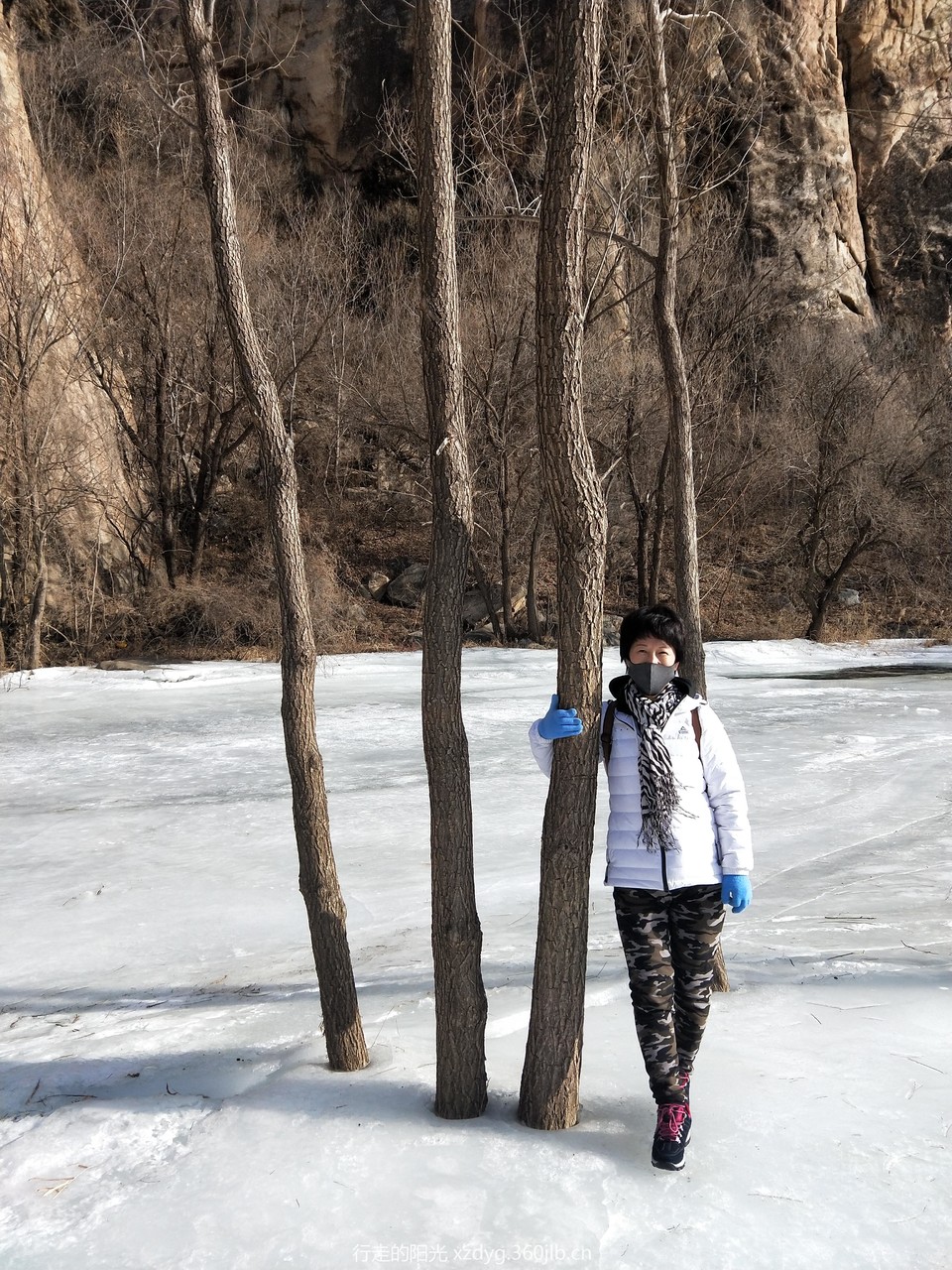 mmexport1548561873323