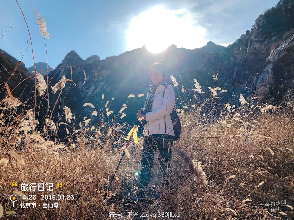 mmexport1548563247602