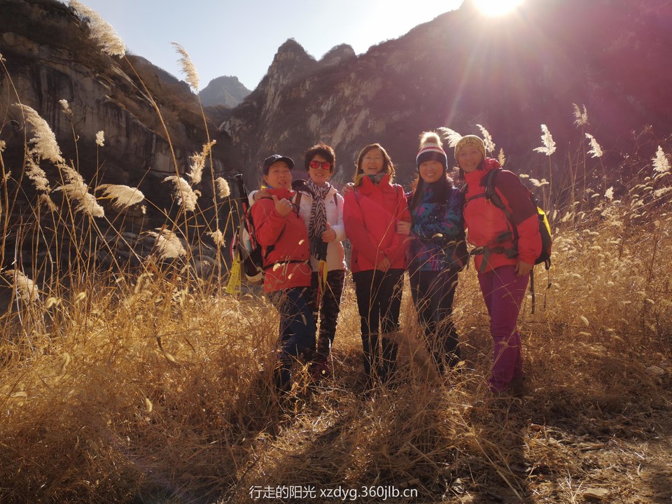 mmexport1548564362430