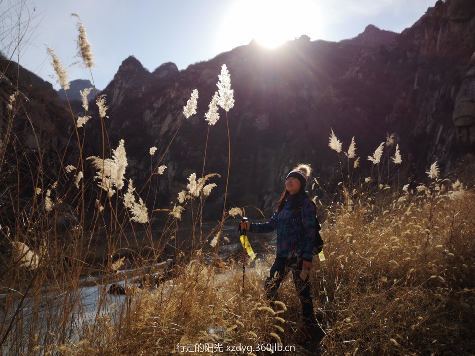 mmexport1548564397549