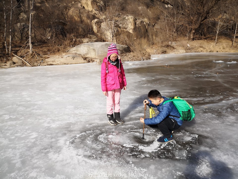 mmexport1548564438655