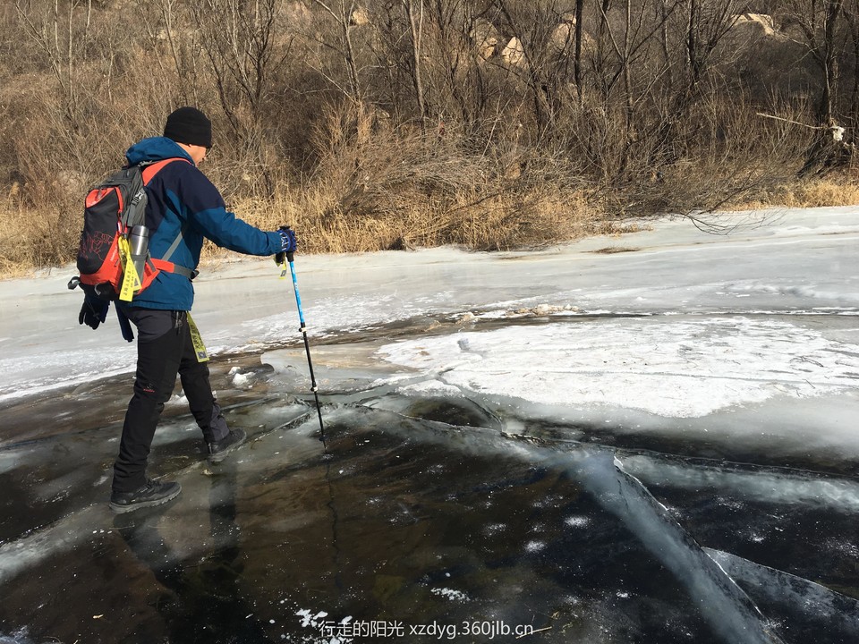 mmexport1548565045219