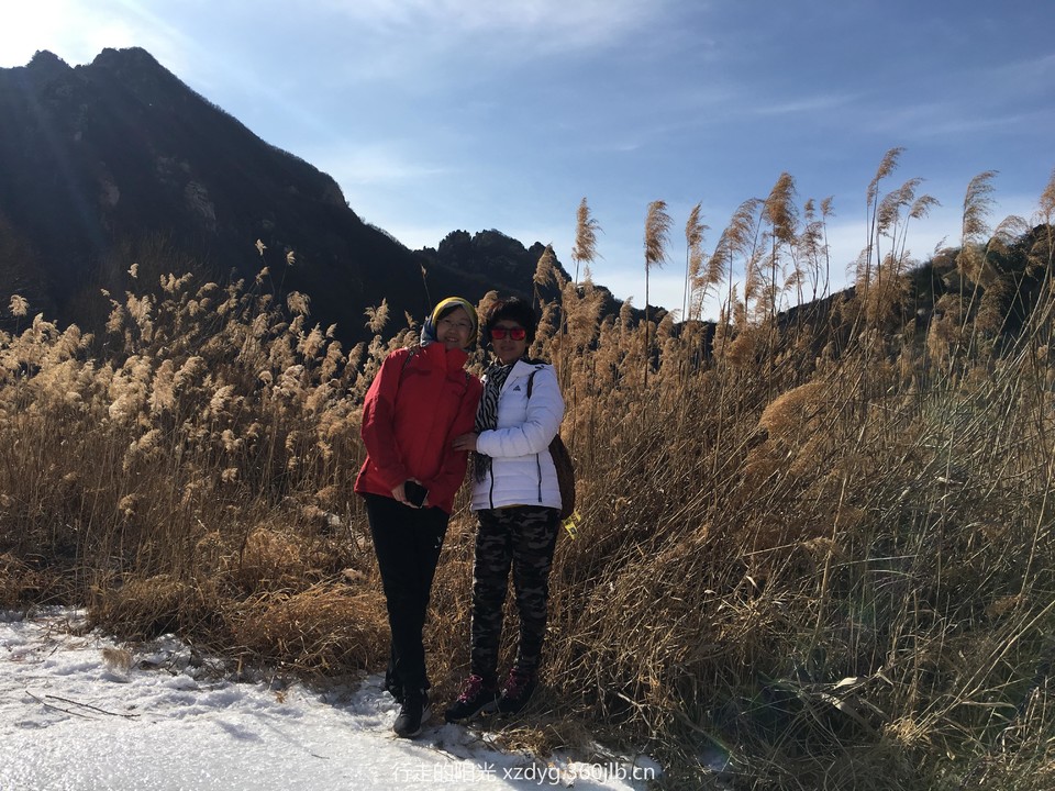 mmexport1548565646985