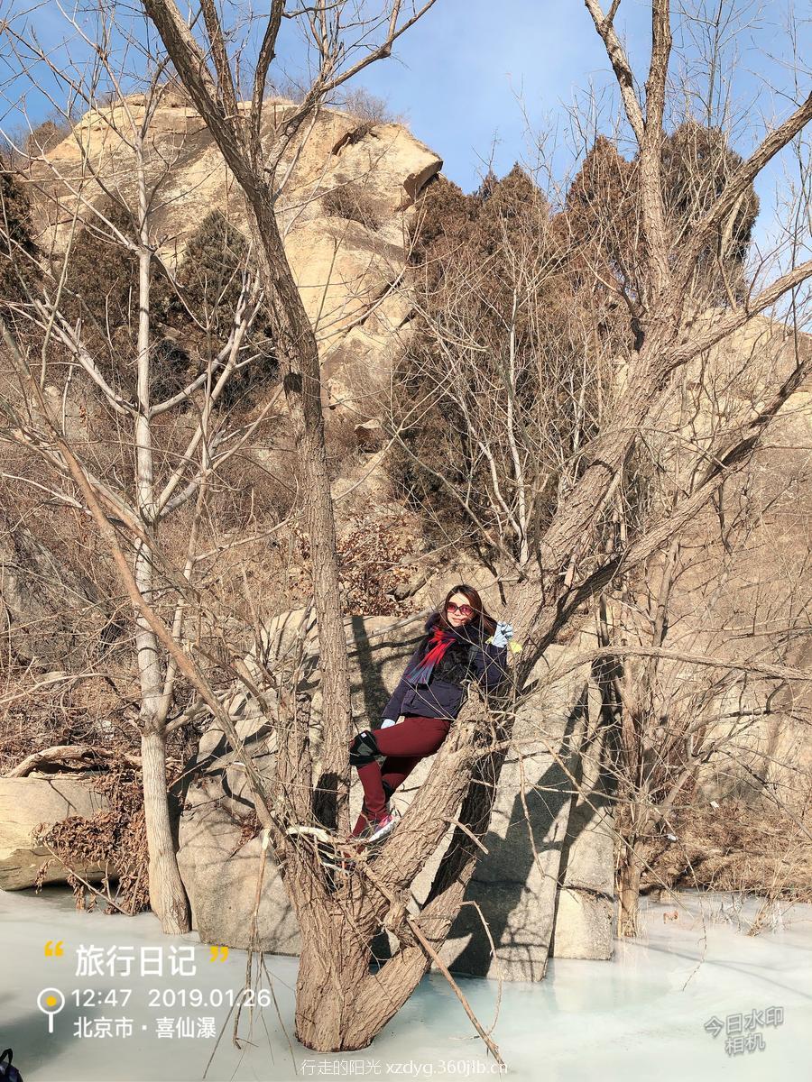 mmexport1548563861323