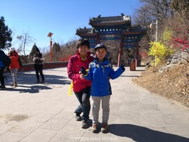 mmexport1550313436125