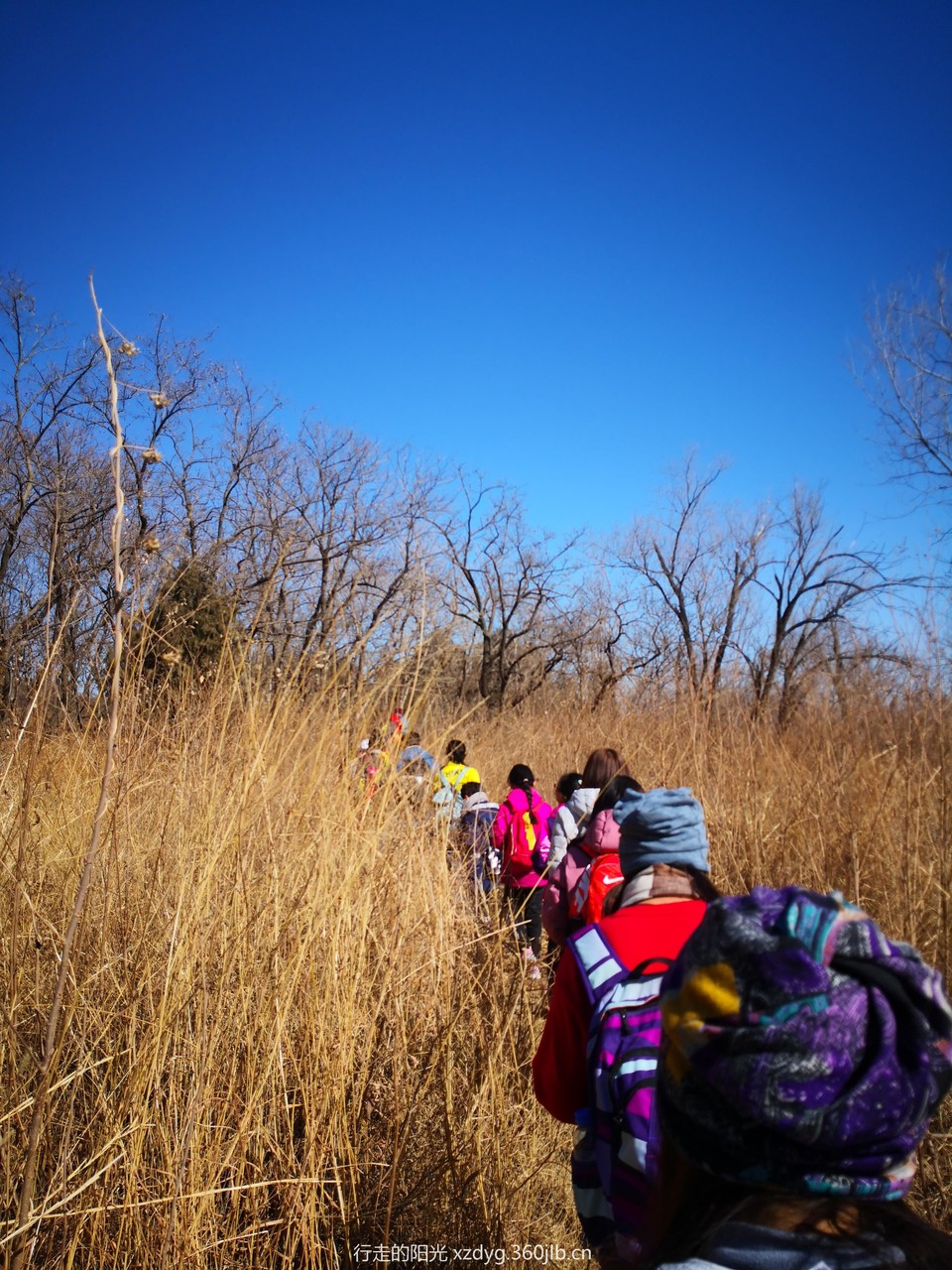 mmexport1550313588644