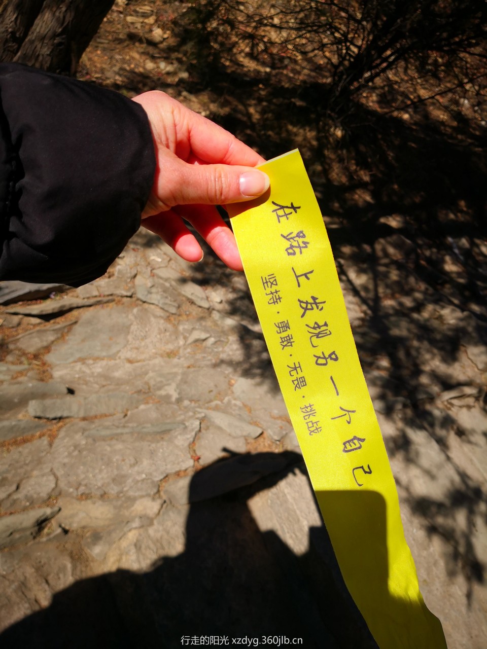 mmexport1550313614393