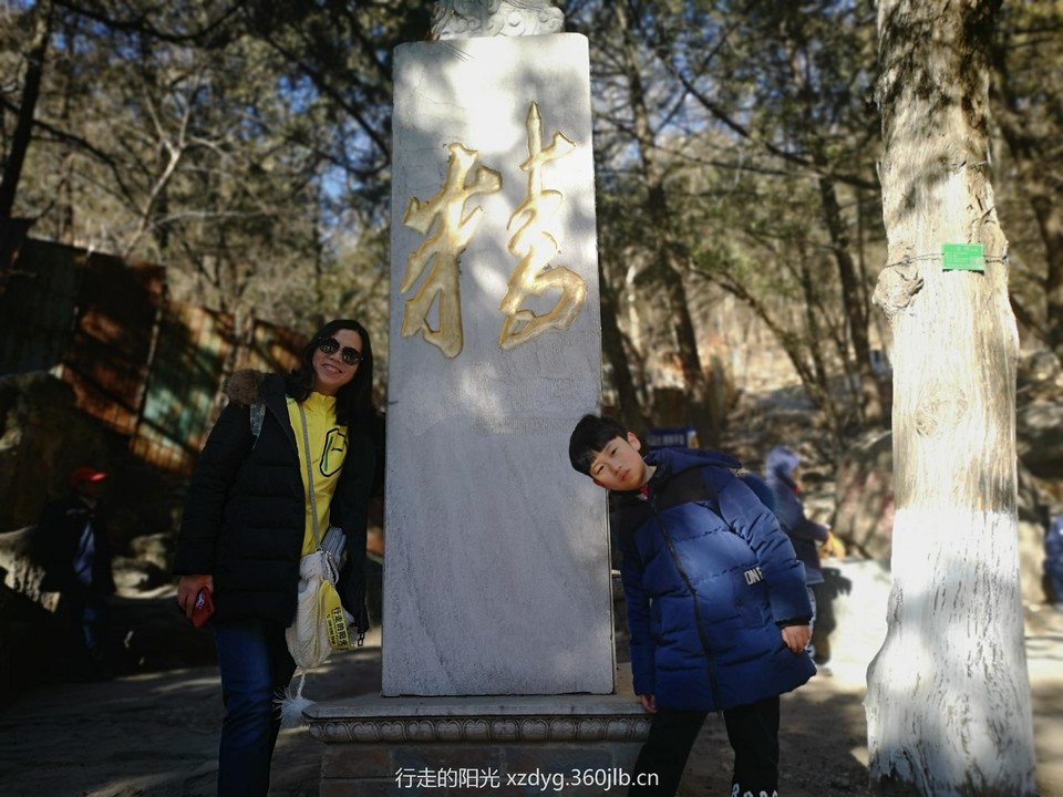 mmexport1550313837903