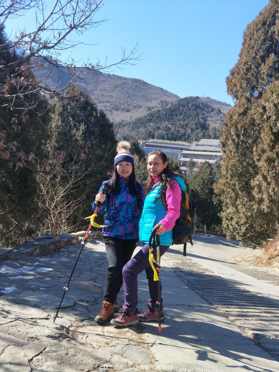 mmexport1550313968194