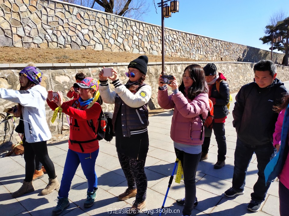 mmexport1550314031947