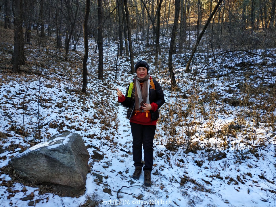 mmexport1550314321232