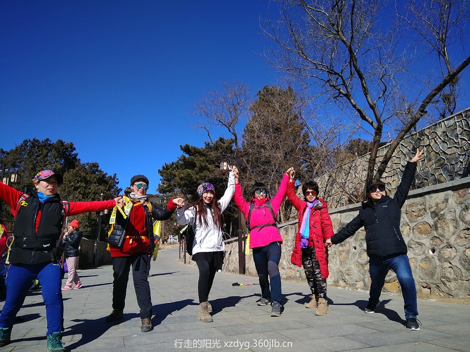 mmexport1550314385709